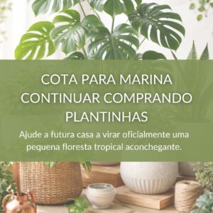 Cota para Marina continuar comprando plantinhas